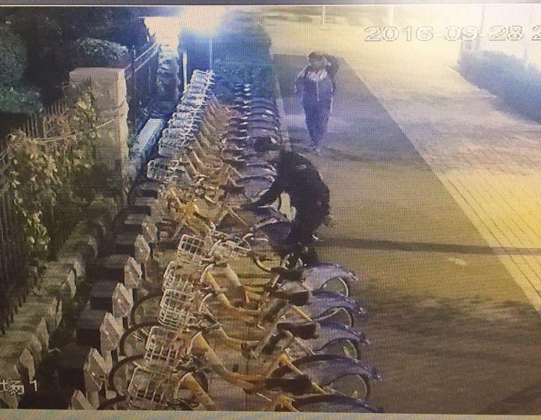 9001cc金沙以诚为本(中国)有限公司官网