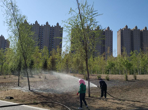 9001cc金沙以诚为本(中国)有限公司官网