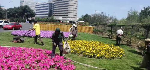 9001cc金沙以诚为本(中国)有限公司官网