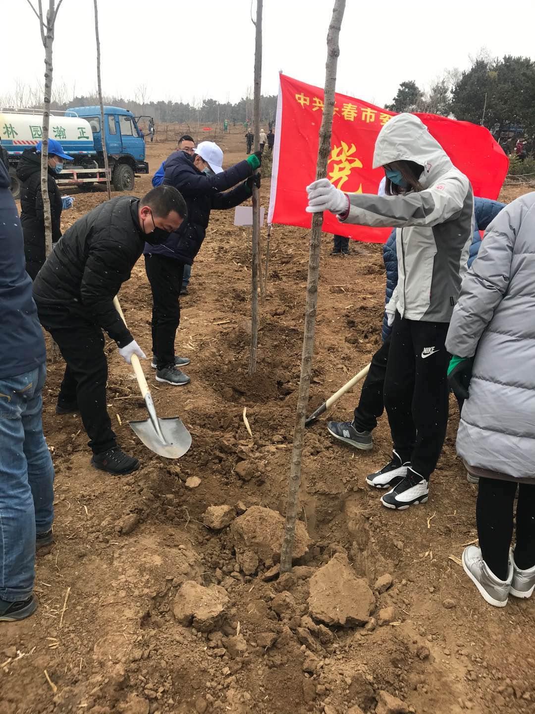 9001cc金沙以诚为本(中国)有限公司官网