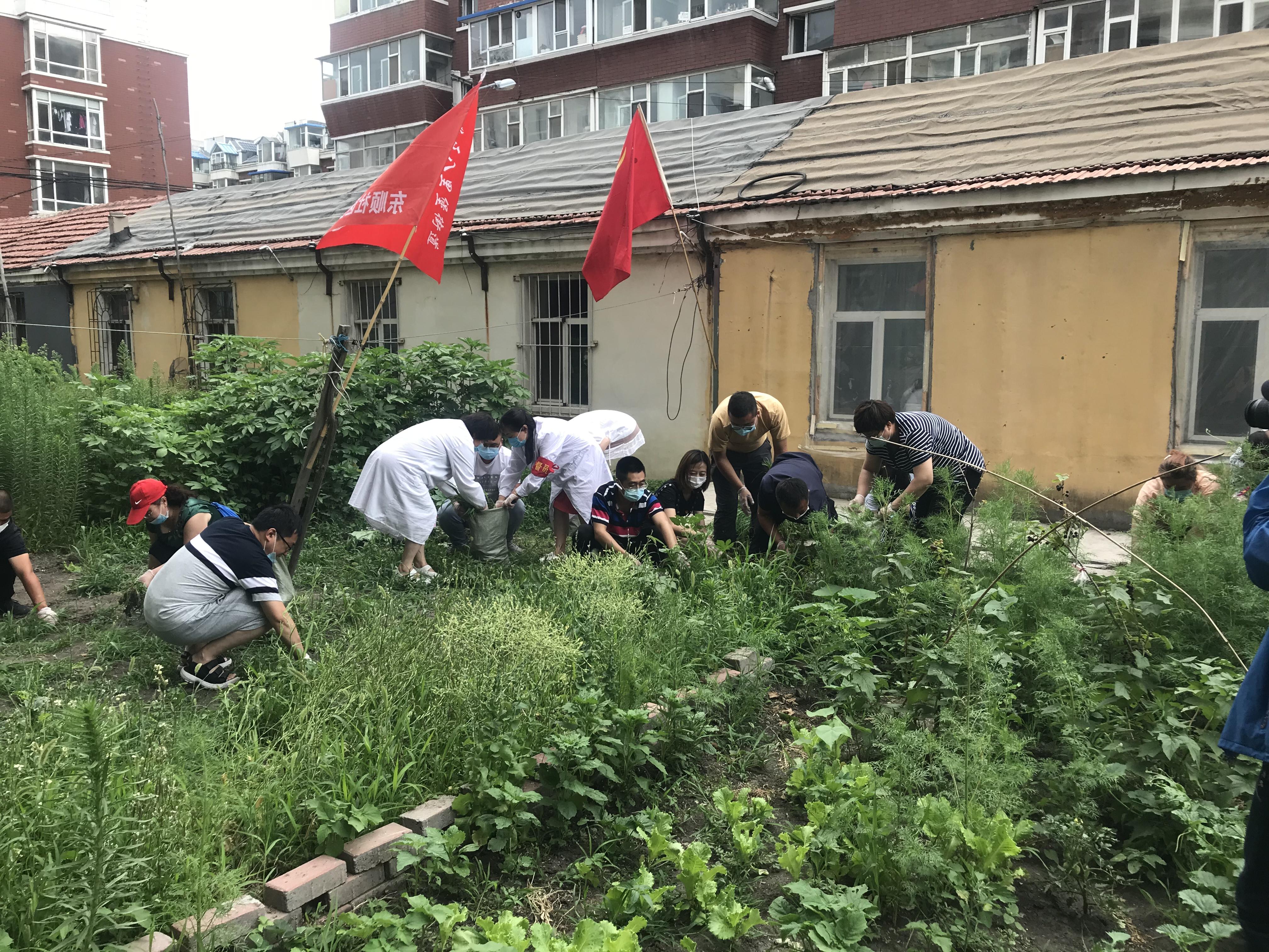 9001cc金沙以诚为本(中国)有限公司官网