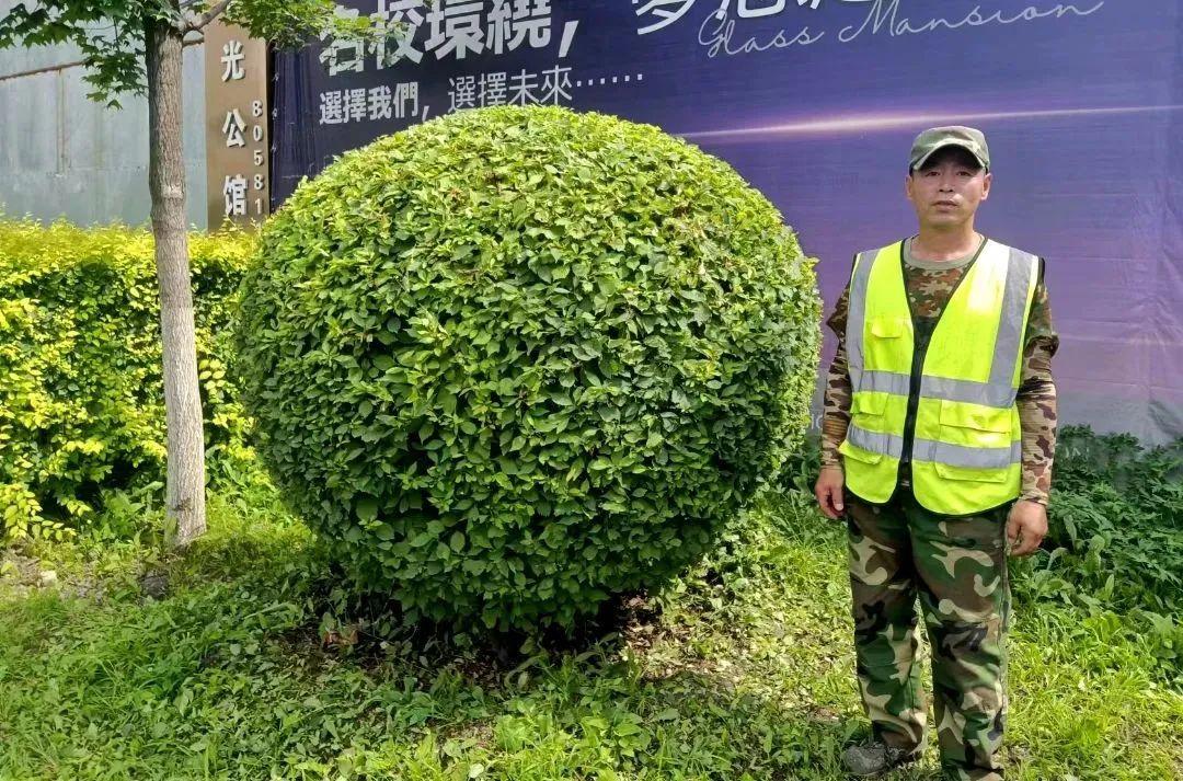 9001cc金沙以诚为本(中国)有限公司官网